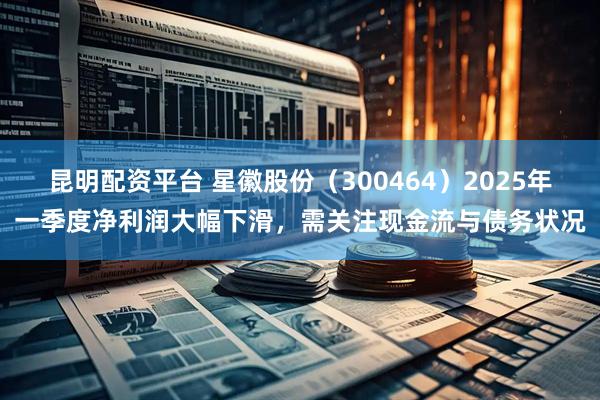 昆明配资平台 星徽股份（300464）2025年一季度净利润大幅下滑，需关注现金流与债务状况